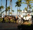 Traveller picture - Excellence Punta Cana