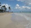 Traveller picture - Tropical Princess