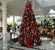 Traveller picture - Gran Bahia Principe Ambar