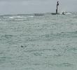 Traveller picture - Gran Bahia Principe Ambar