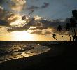 Traveller picture - Dreams Palm Beach Punta Cana