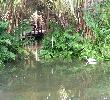 Traveller picture - Blau Natura Park Beach Eco Resort