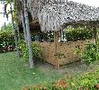 Traveller picture - Barcelo Bavaro Beach