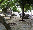 Traveller picture - Casa Marina Beach Resort