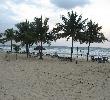 Traveller picture - Breezes Runaway