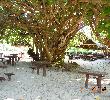 Traveller picture - Playa De Oro
