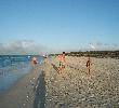 Traveller picture - Playa Caleta