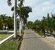 Traveller picture - Tryp Peninsula