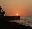 Traveller picture - Sol Palmeras