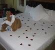 Traveller picture - Riu Varadero