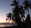 Traveller picture - Royal Decameron Complex