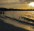 Traveller picture - Riu Montego Bay