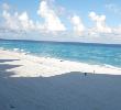 Traveller picture - Grand Oasis Cancun