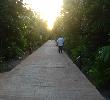 Traveller picture - Catalonia Playa Maroma