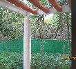 Traveller picture - Luxury Bahia Principe Sian Ka An