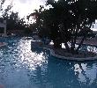 Traveller picture - Paradise Island Harbour Resort