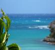 Traveller picture - The Verandah Resort And Spa