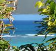 Traveller picture - The Verandah Resort And Spa