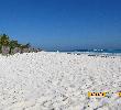 Traveller picture - Gran Caribe Cayo Largo