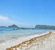 Traveller picture - Coconut Bay