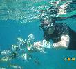 Traveller picture - Club Amigo Costasur