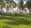 Traveller picture - Grand Paradise Samana