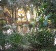 Traveller picture - Grand Paradise Samana