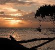 Traveller picture - Luxury Bahia Principe Cayo Levantado
