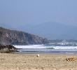 Traveller picture - Blue Bay Los Angeles Locos