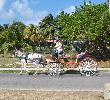 Traveller picture - Gran Club Santa Lucia