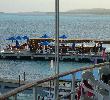 Traveller picture - Decameron Aquarium