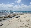 Traveller picture - Decameron Aquarium
