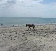 Traveller picture - Playa Blanca