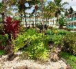 Traveller picture - Dreams La Romana