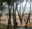 Traveller picture - Iberostar Costa Dorada
