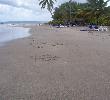 Traveller picture - Bahia Principe San Juan