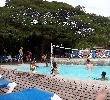 Traveller picture - Allegro Puerto Plata