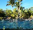 Traveller picture - Riu Mambo