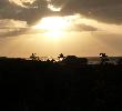 Traveller picture - Memories Azul Beach Resort