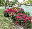 Photo de voyageur - Memories Paraiso Beach Resort