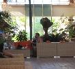 Traveller picture - Sol Cayo Coco