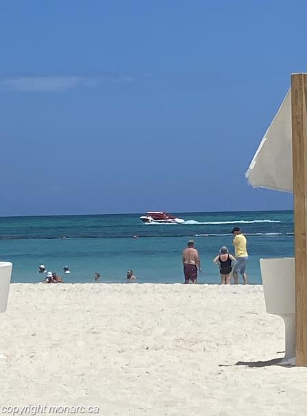 Traveller picture - Melia Caribe Beach Resort