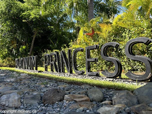 Traveller picture - Grand Bavaro Princess