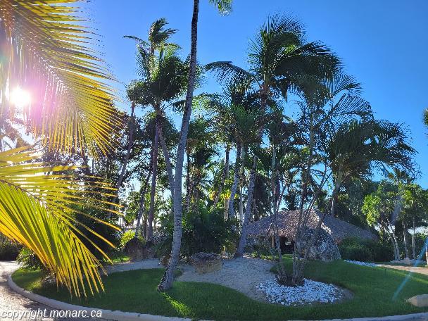 Reviews for Melia Punta Cana Beach Wellness Resort Adults, Punta Cana ...