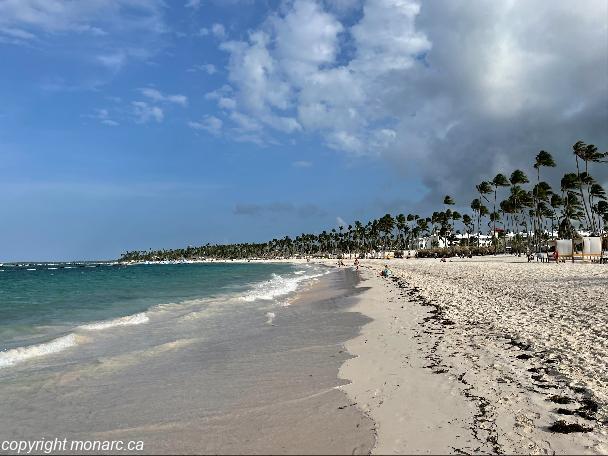Traveller picture - Melia Punta Cana Beach Wellness Resort Adults