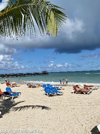 Traveller picture - Impressive Punta Cana