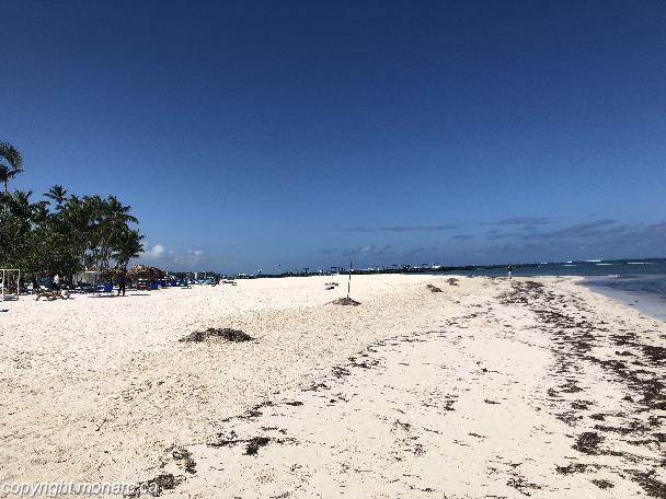 Photo de voyageur - Serenade Punta Cana Beach And Spa Resort