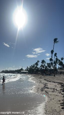 Traveller picture - Sunscape Coco Punta Cana