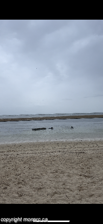 Traveller picture - Catalonia Bavaro Beach Golf And Casino