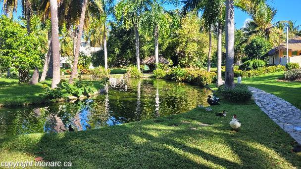 Photo de voyageur - Catalonia Bavaro Beach Golf And Casino